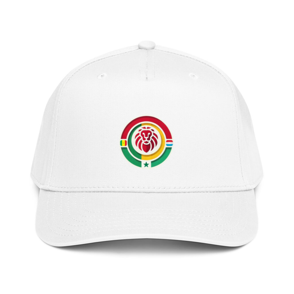 Casquette à 5 panneaux